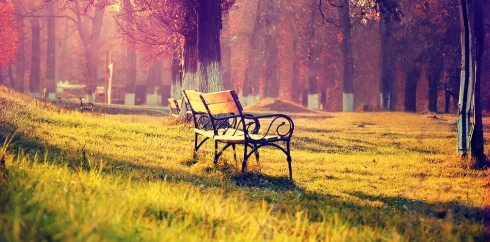 内部价格卡密的小七手机号在线网页轰炸